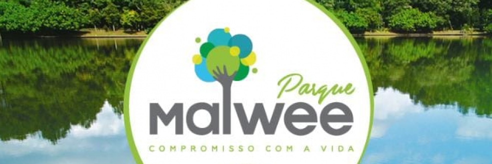 Imagem Ilustrativa